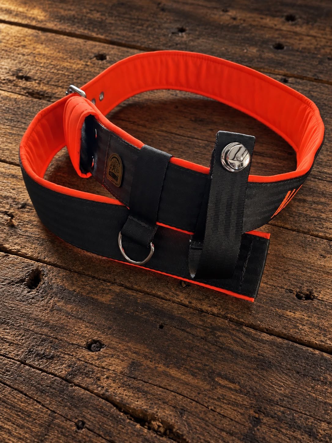 Gepolsterte Signalhalsung in Orange und Schwarz mit D-Ring und GPS-Halterung